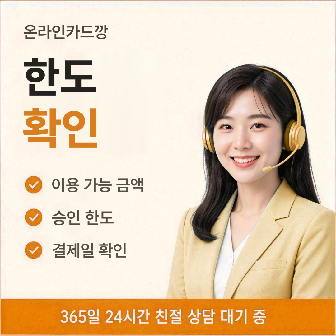 다음머니 온라인카드깡 한도 확인 안내