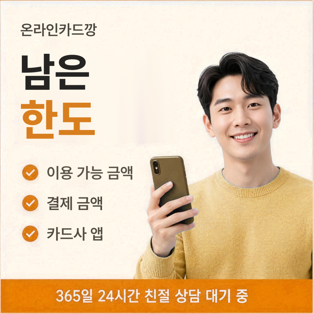 다음머니 온라인카드깡 남은 한도 안내